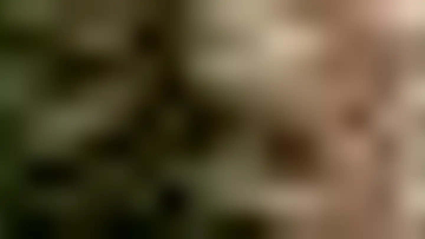 Spazio ufficio in affitto - Bahnhofstrasse 66, 5605 Dottikon