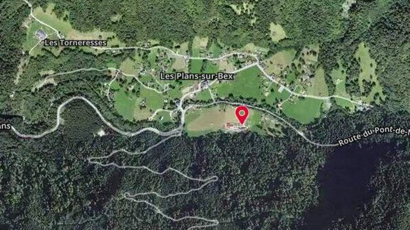 Landwirtschaftsbetrieb kaufen - Route Du Pont-De-Nant, 1880 Les Plans-sur-Bex - Foto 4