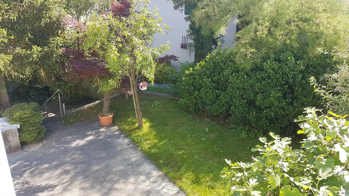 Doppelhaushälfte mieten - Rossbergstrasse 10, 5222 Umiken - Foto 3