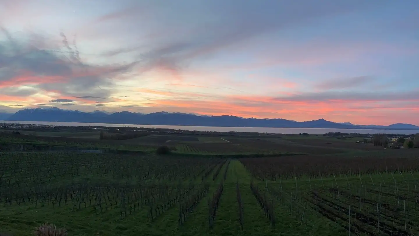 Appartement à louer - Route De Féchy 15, 1170 Aubonne - Photo 2