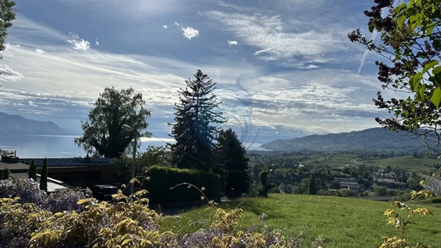 Einfamilienhaus kaufen - 1822 Chernex - Foto 2