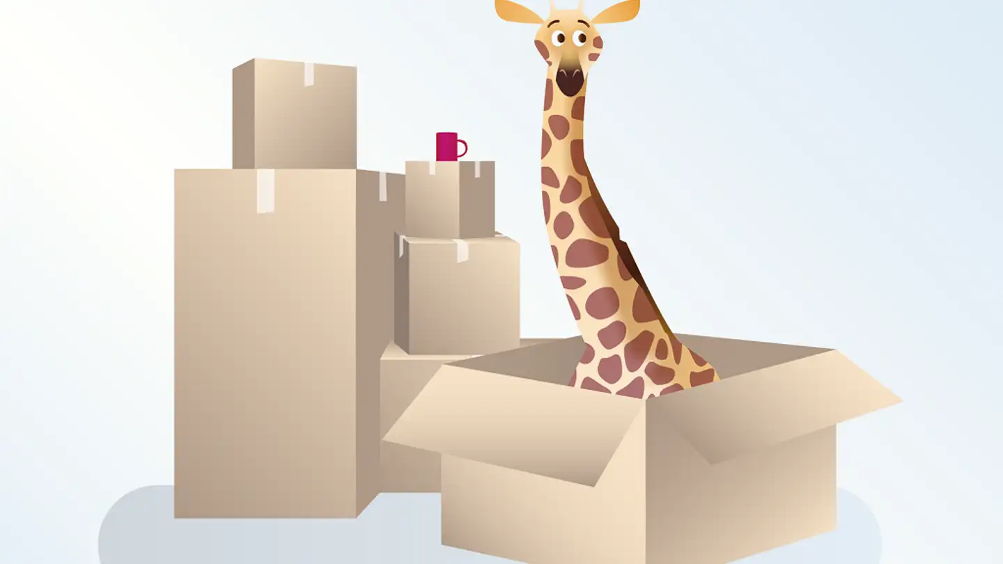 Storage space for rent - Allée Du Communet 18, 1196 Gland