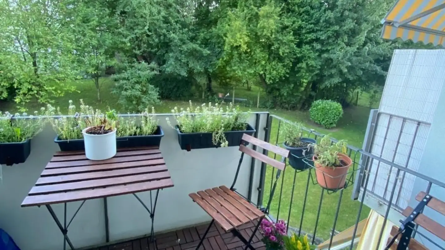Zimmer mieten - Hungerbergstrasse 39, 8046 Zürich - Foto 4