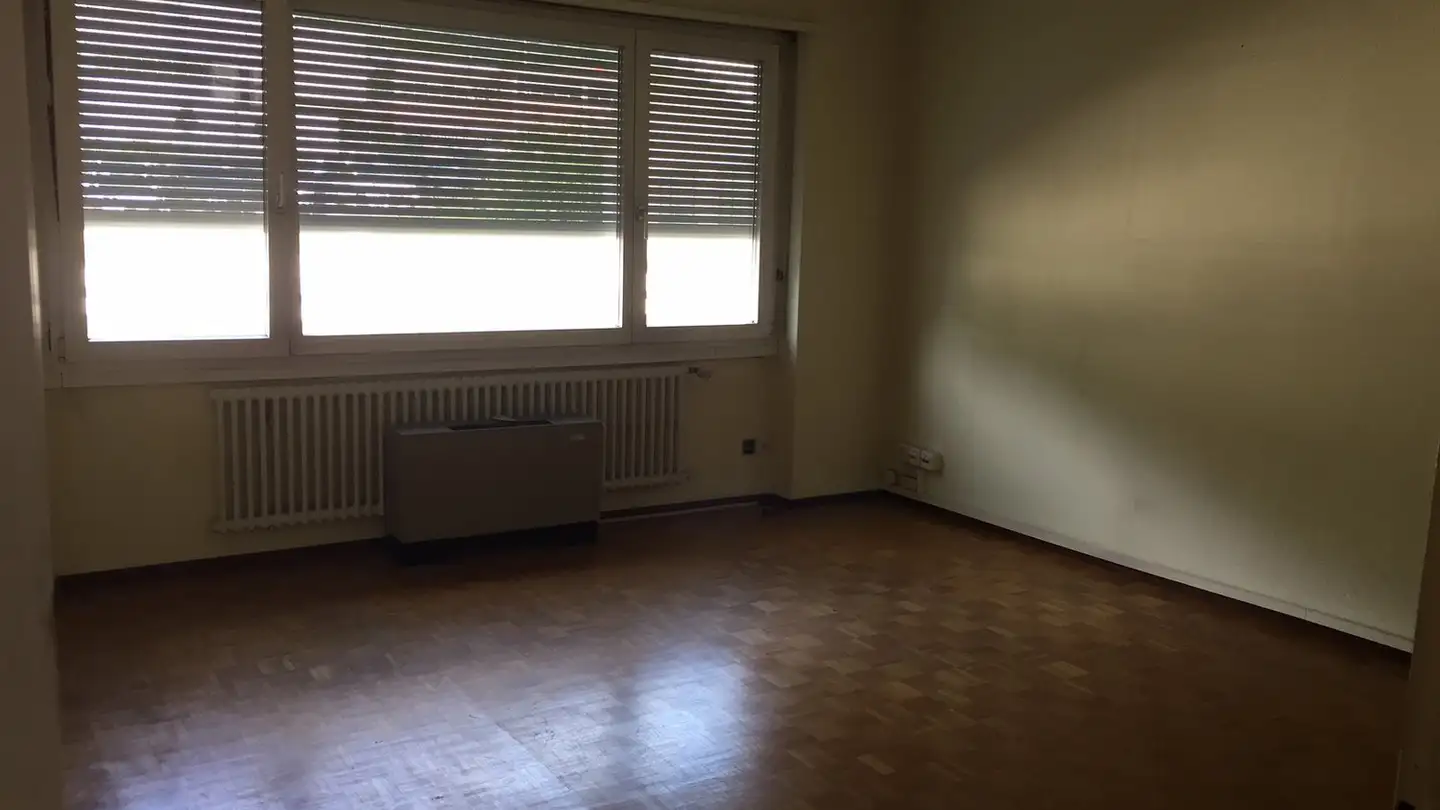 Office space for rent - Via D'argine 7, 6930 Bedano - Photo 3