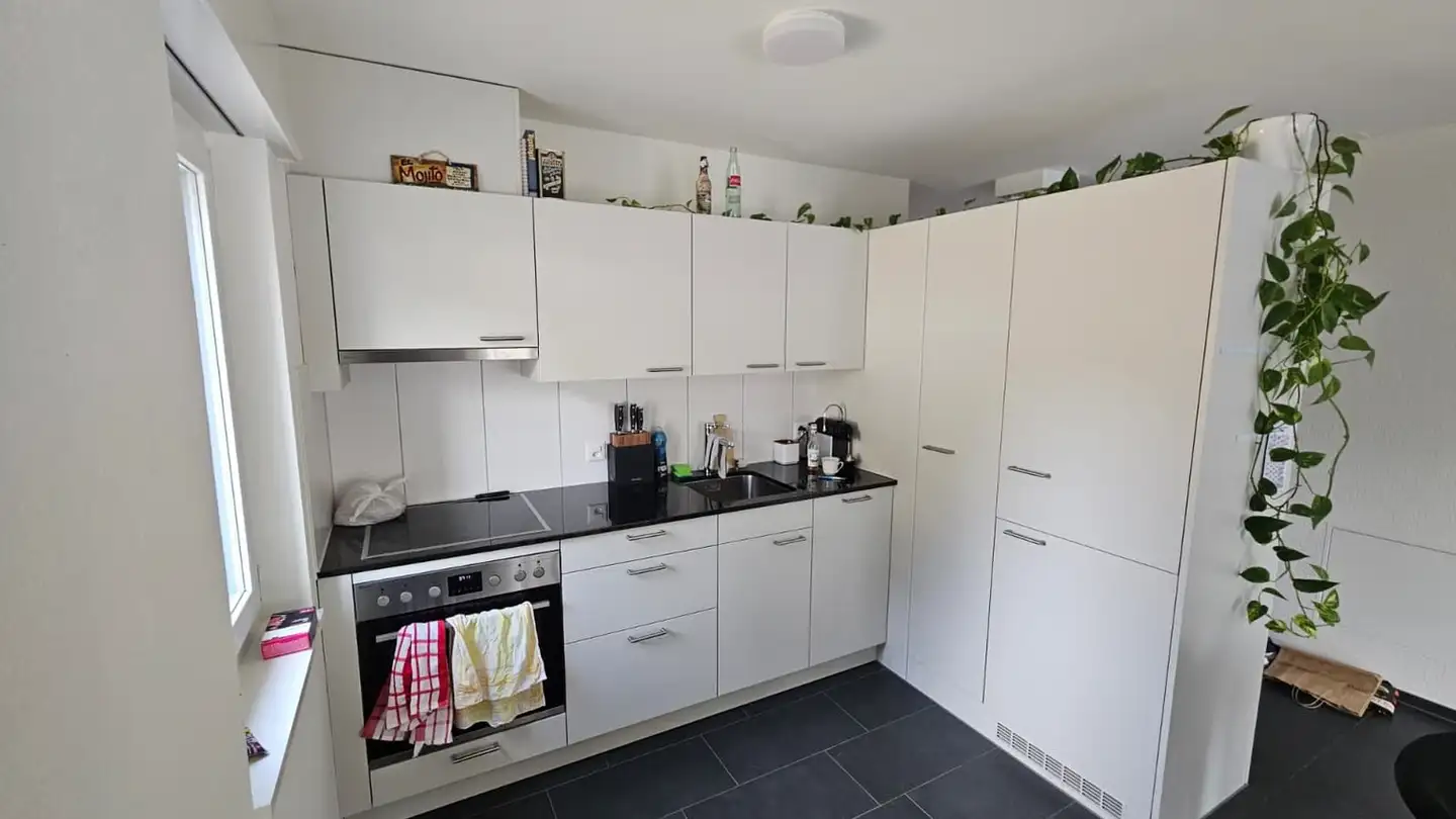 Wohnung mieten - Untere Greibengasse, 4500 Solothurn - Foto 4