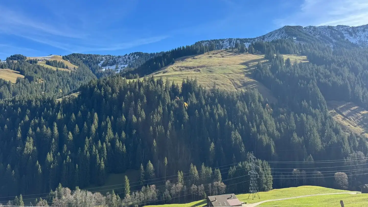 Casa singola in vendita - 1657 Abländschen - Foto 4