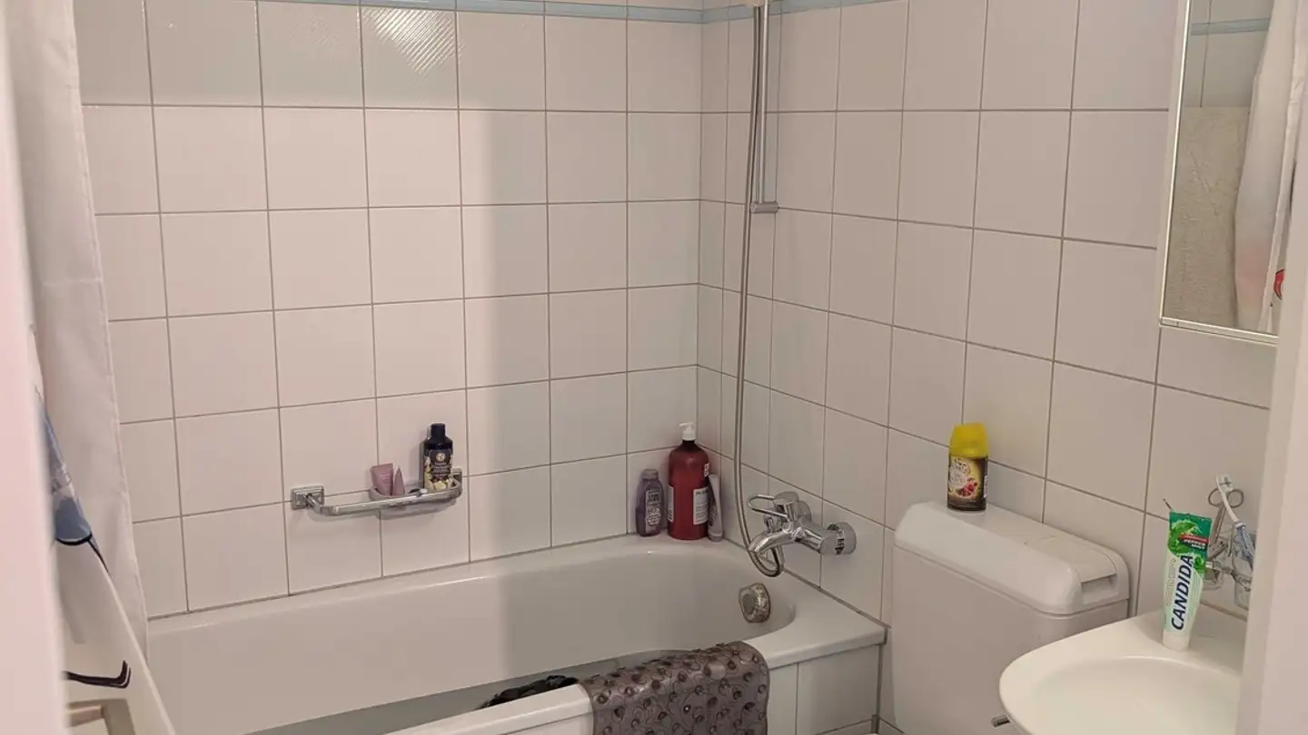 Apartment for rent - Neugutstrasse 57, 8600 Dübendorf - Photo 4