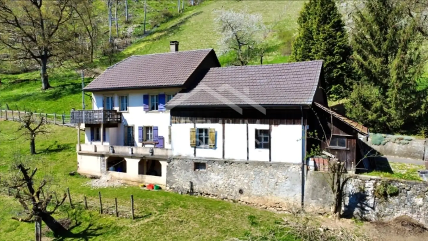 Single house for sale - 4704 Niederbipp