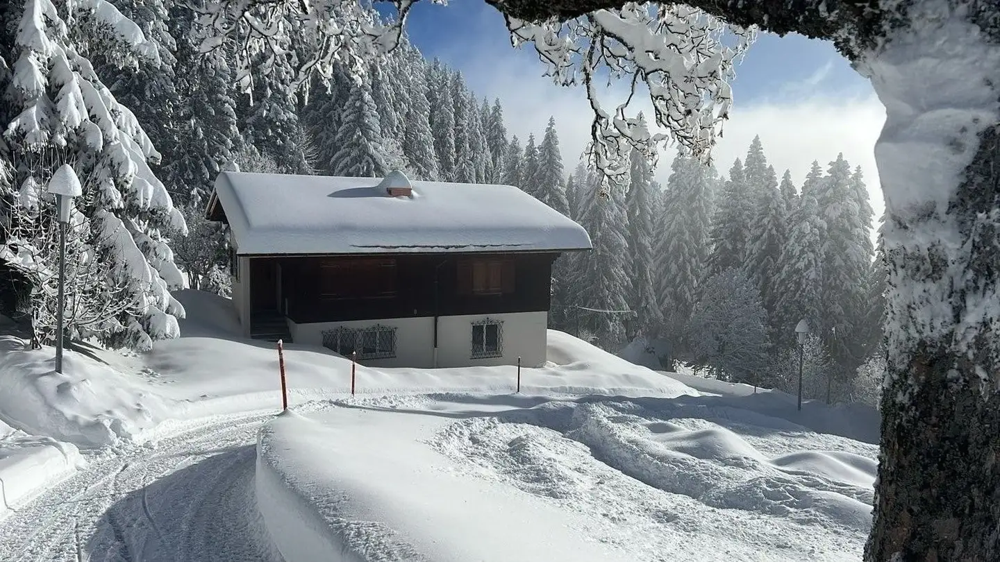 Apartment for rent - 6353 Weggis - Photo 2