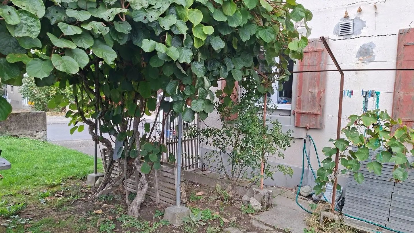 Appartamento in affitto - 1562 Corcelles-près-Payerne