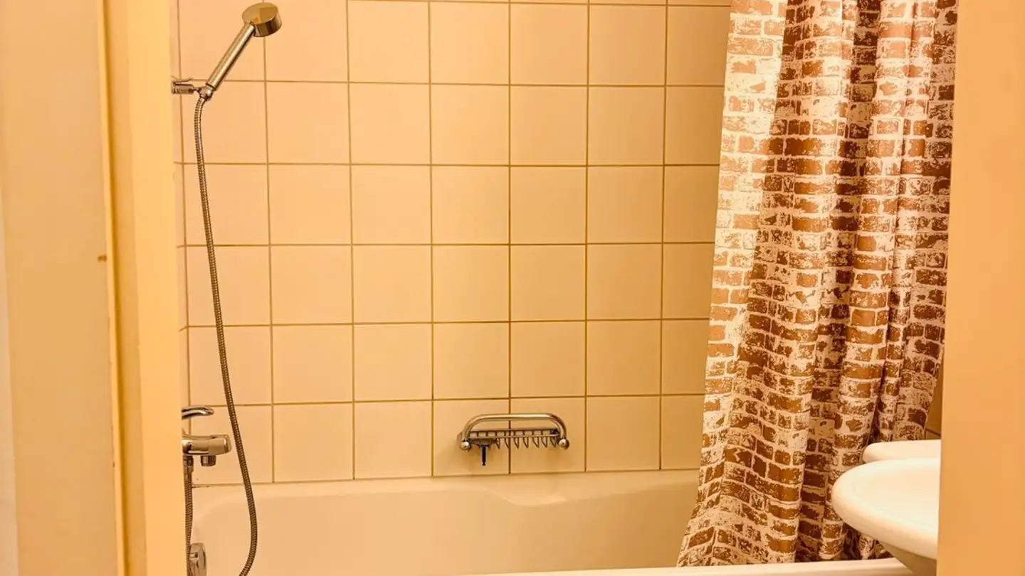 Appartement à louer - Riedgrabenweg 55, 8050 Zürich - Photo 4