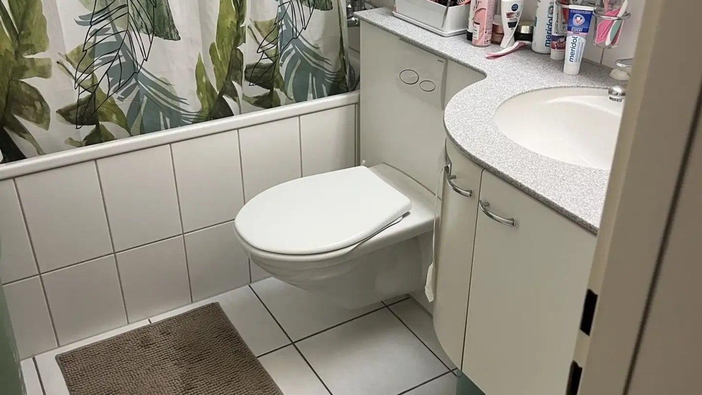 Appartamento in affitto - Hofackerstrasse 37, 8953 Dietikon