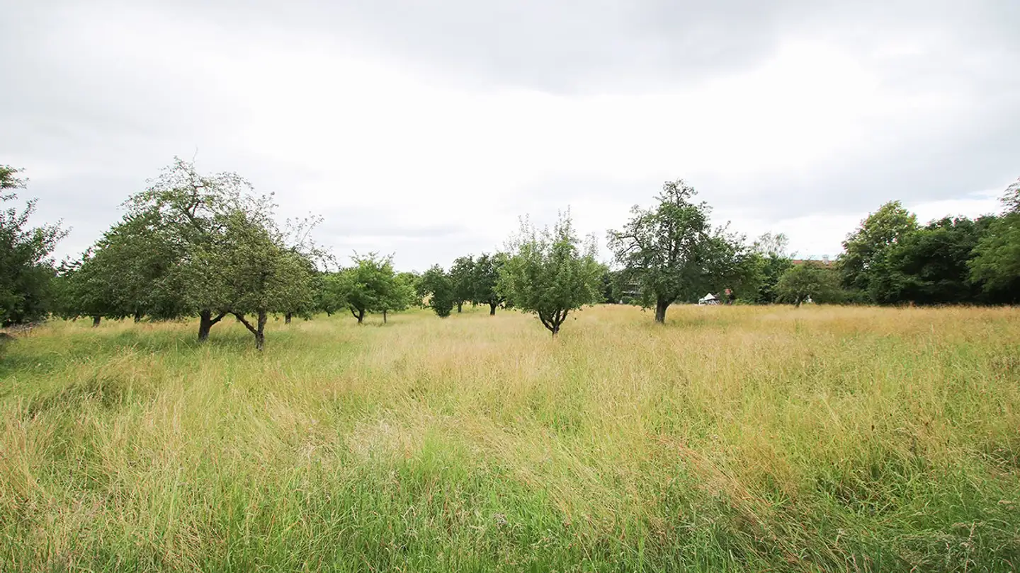Terreno edificabile in vendita - Eggweg, 4497 Rünenberg - Photo 3