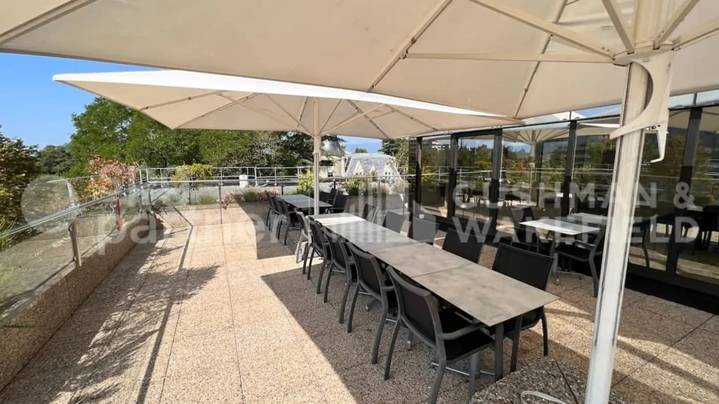 Commercial à louer - L'Ancienne-Route 17, 1218 Le Grand-Saconnex