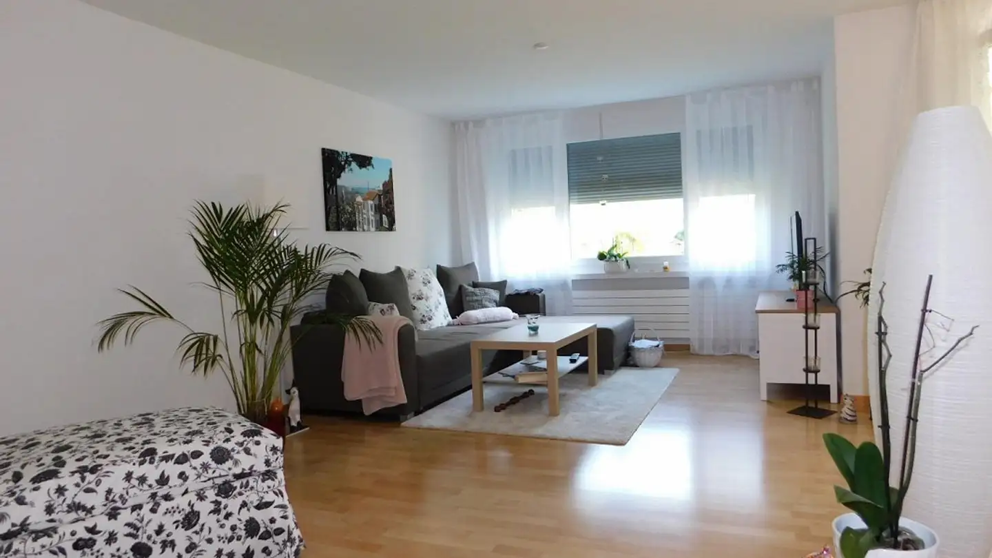 Appartamento in affitto - Nordstrasse 10, 9532 Rickenbach b. Wil - Photo 3