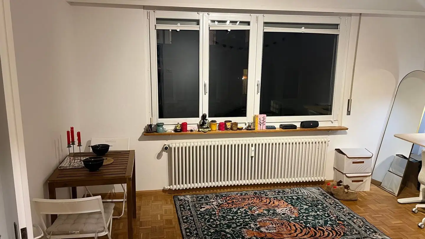 Stanza singola in affitto - Hagentalerstrasse 11, 4055 Basel - Foto 3