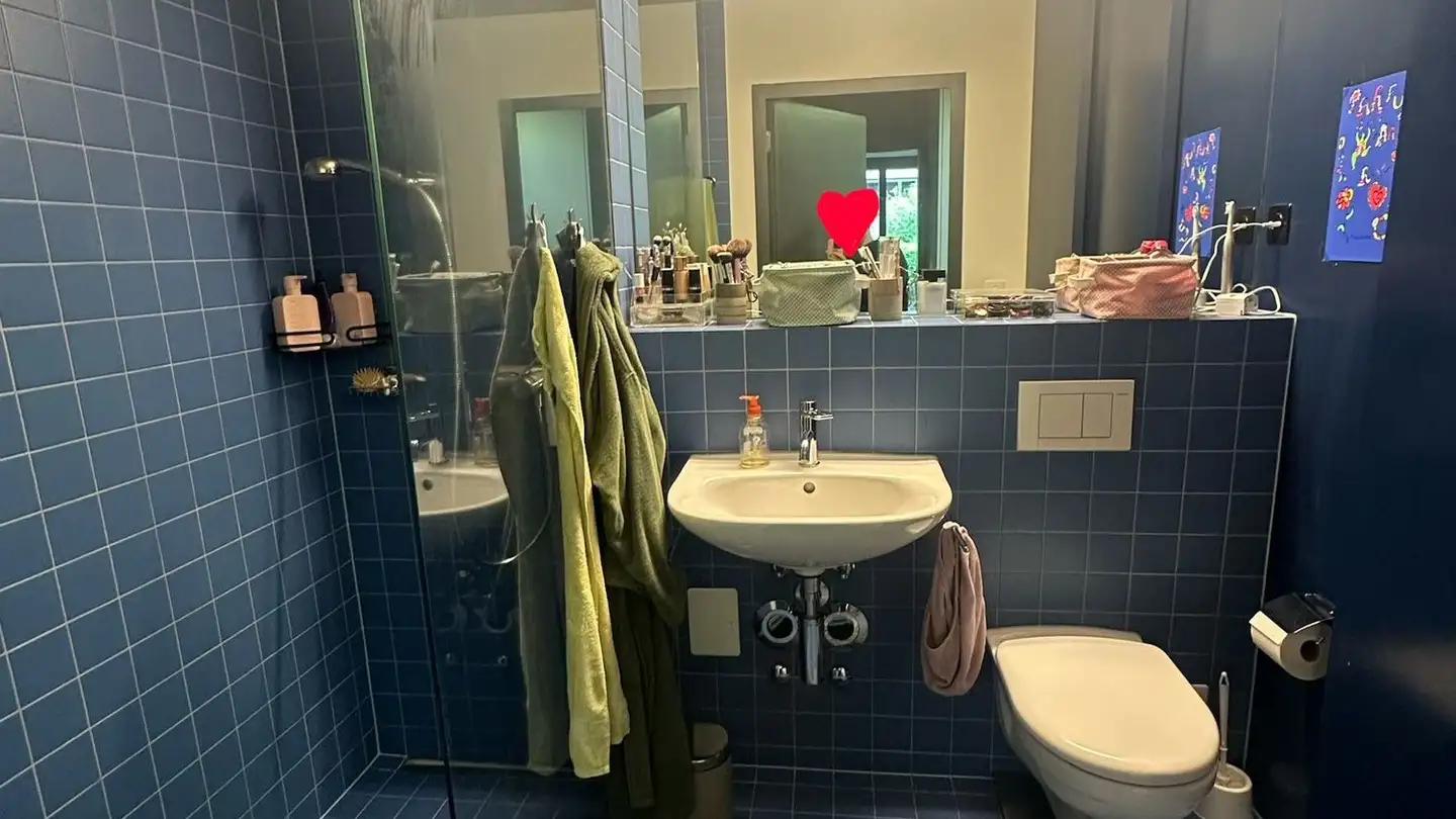 Appartamento in affitto - Eichgutstrasse 12, 8400 Winterthur - Foto 4