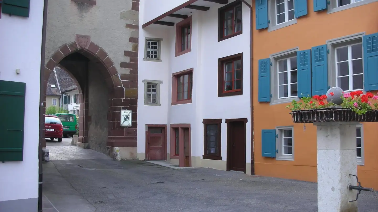 Casa singola in vendita - Adelberg 38, 4437 Waldenburg - Photo 2