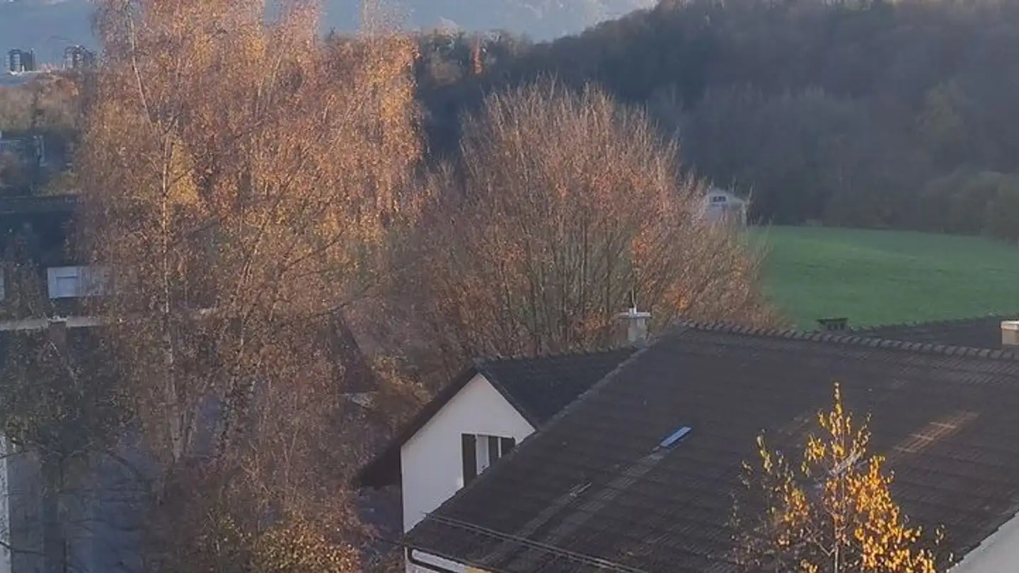 Apartment for rent - Aarhaldenstrasse 24, 3052 Zollikofen - Photo 2