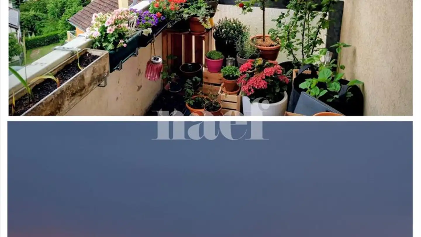 Appartamento in affitto - Chemin Des Carrels 26, 2000 Neuchâtel - Foto 2