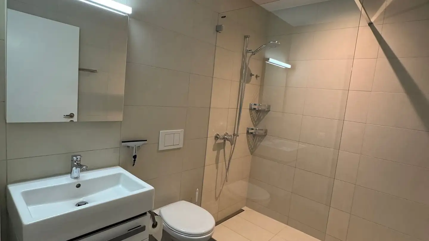 Terrassenwohnung mieten - Klosterzelgstrasse 3, 5210 Windisch - Foto 4