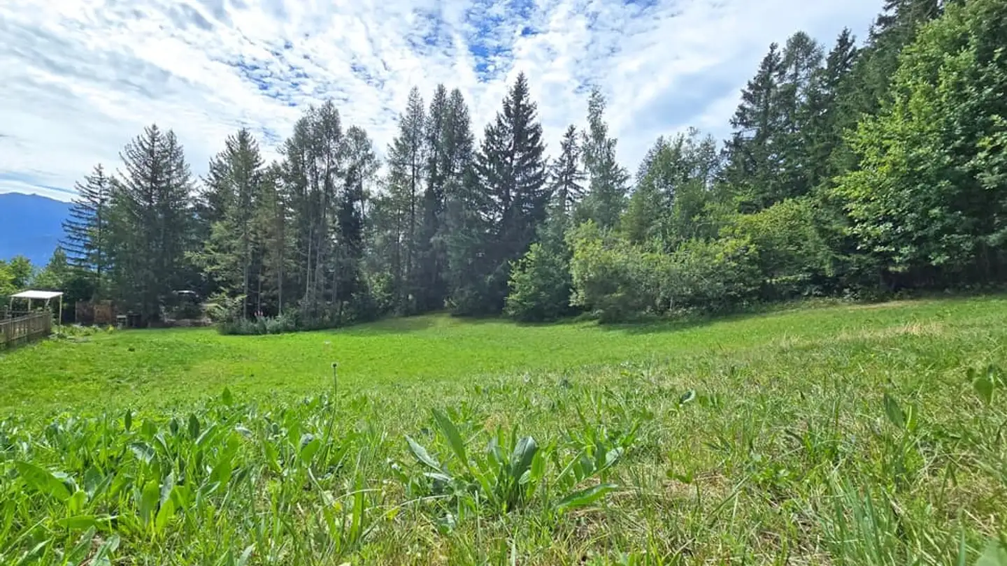 Terrain constructible à vendre - 1974 Arbaz - Photo 3
