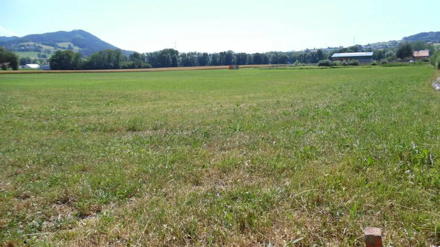 Bauland kaufen - 1607 Palézieux-Village