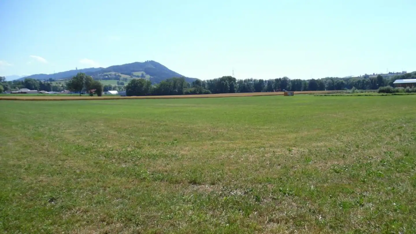 Bauland kaufen - 1607 Palézieux-Village - Foto 2