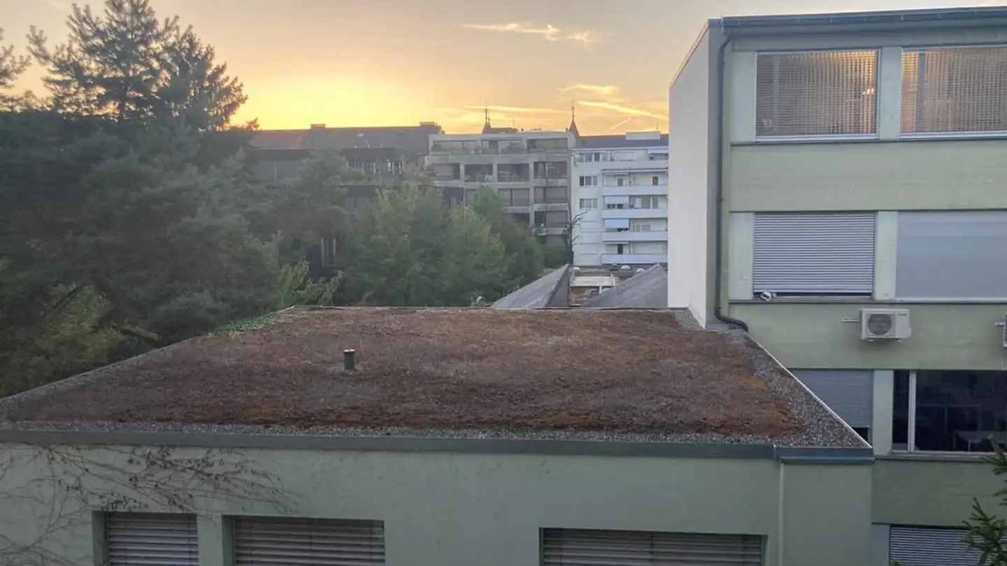 Wohnung mieten - Solothurnerstrasse 76, 4053 Basel