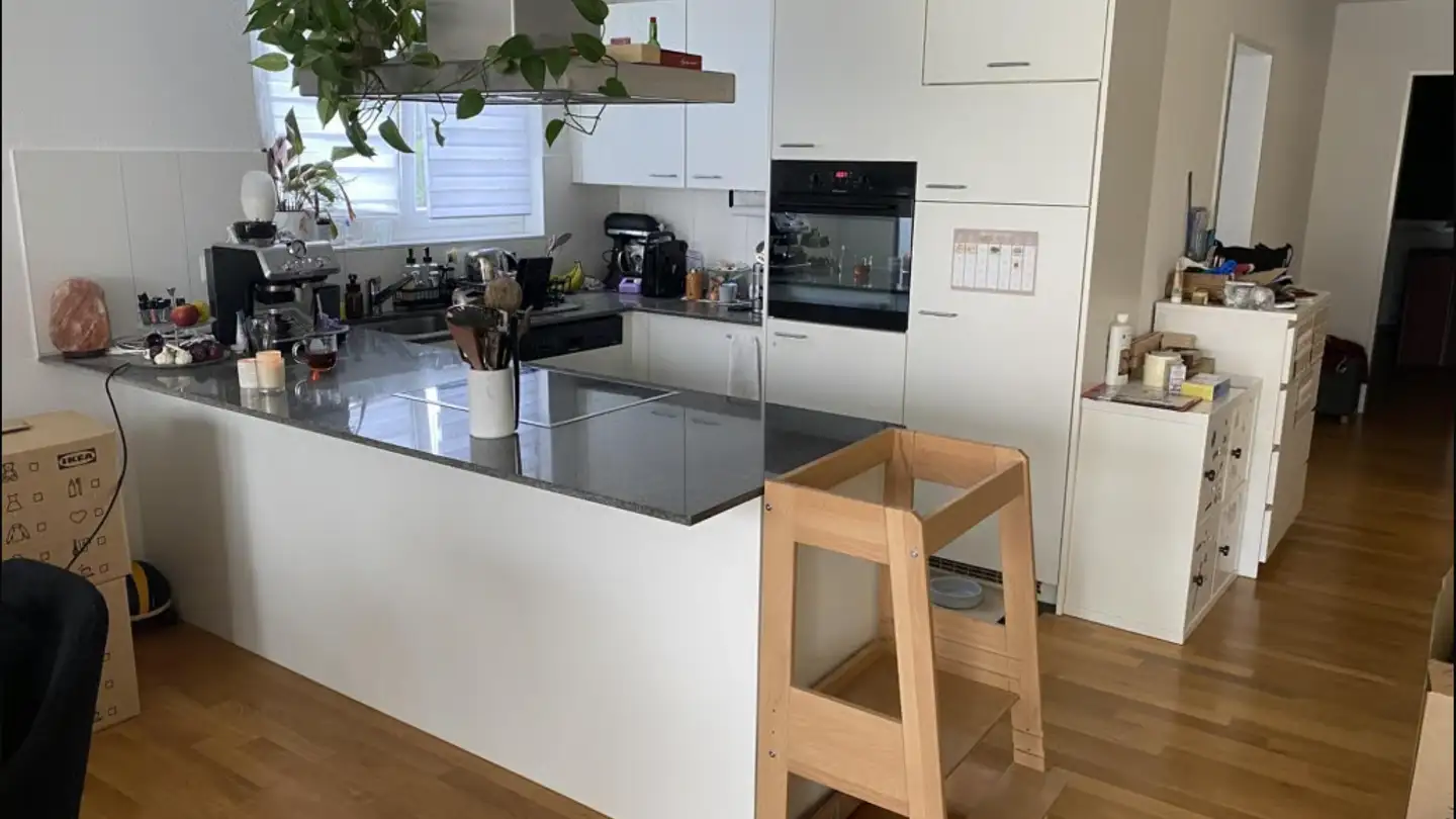 Apartment for rent - Alte Landstrasse 23, 5525 Fischbach-Göslikon - Photo 3