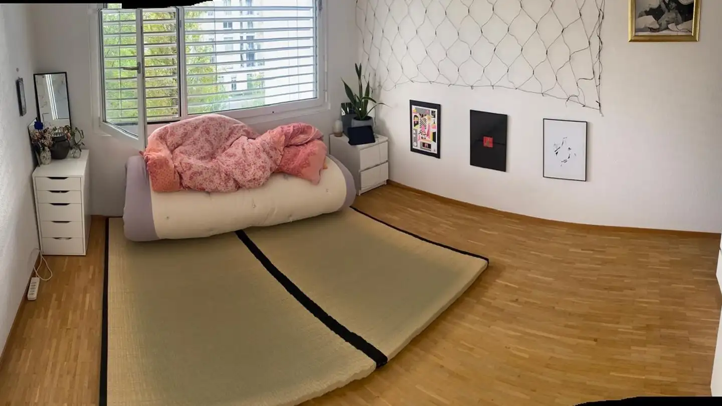 Chambre à louer - 8050 Zürich - Photo 2