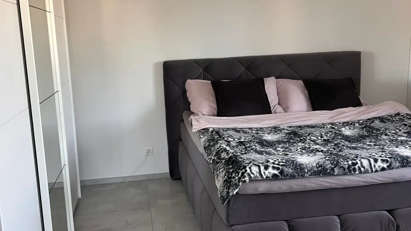Appartamento in affitto - Mühlemattstrasse 2, 5613 Hilfikon - Foto 3