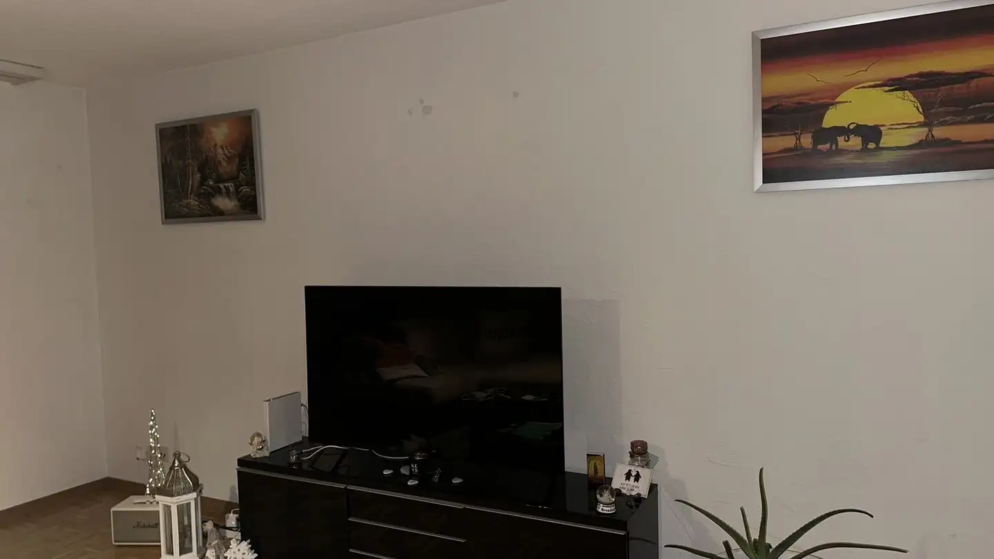 Appartamento ammobiliato in affitto - 8910 Affoltern am Albis - Foto 2