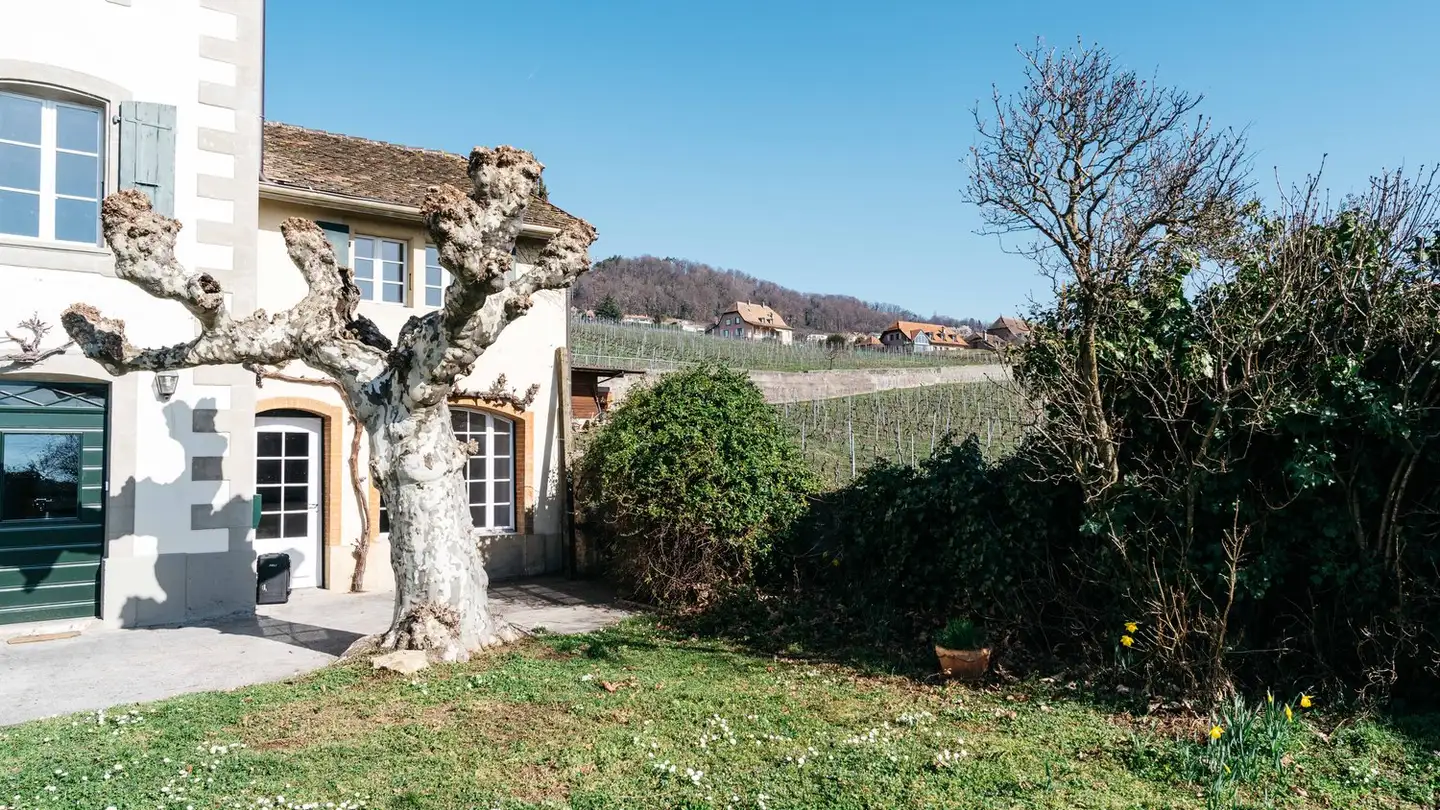 Maisonette mieten - Chemin Des Truits 2, 1185 Mont-sur-Rolle - Foto 3