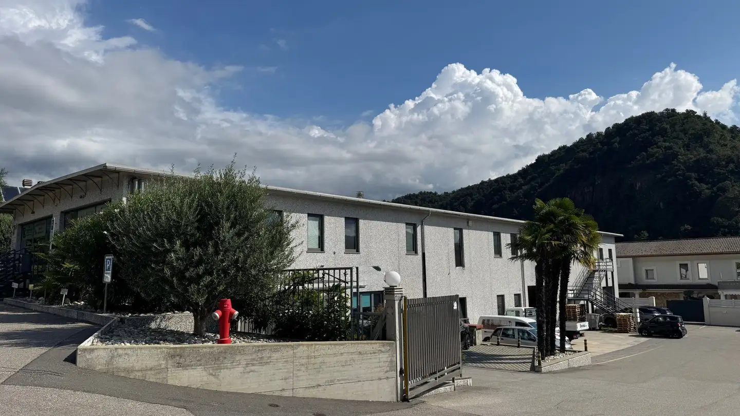 Kaufhaus kaufen - Via Cantonale, 6930 Bedano - Foto 4