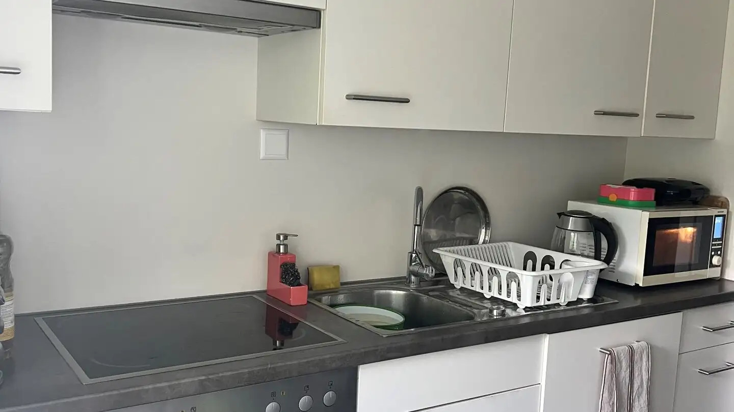 Appartamento in affitto - Ruhsitzstrasse 27, 9000 St. Gallen - Foto 3