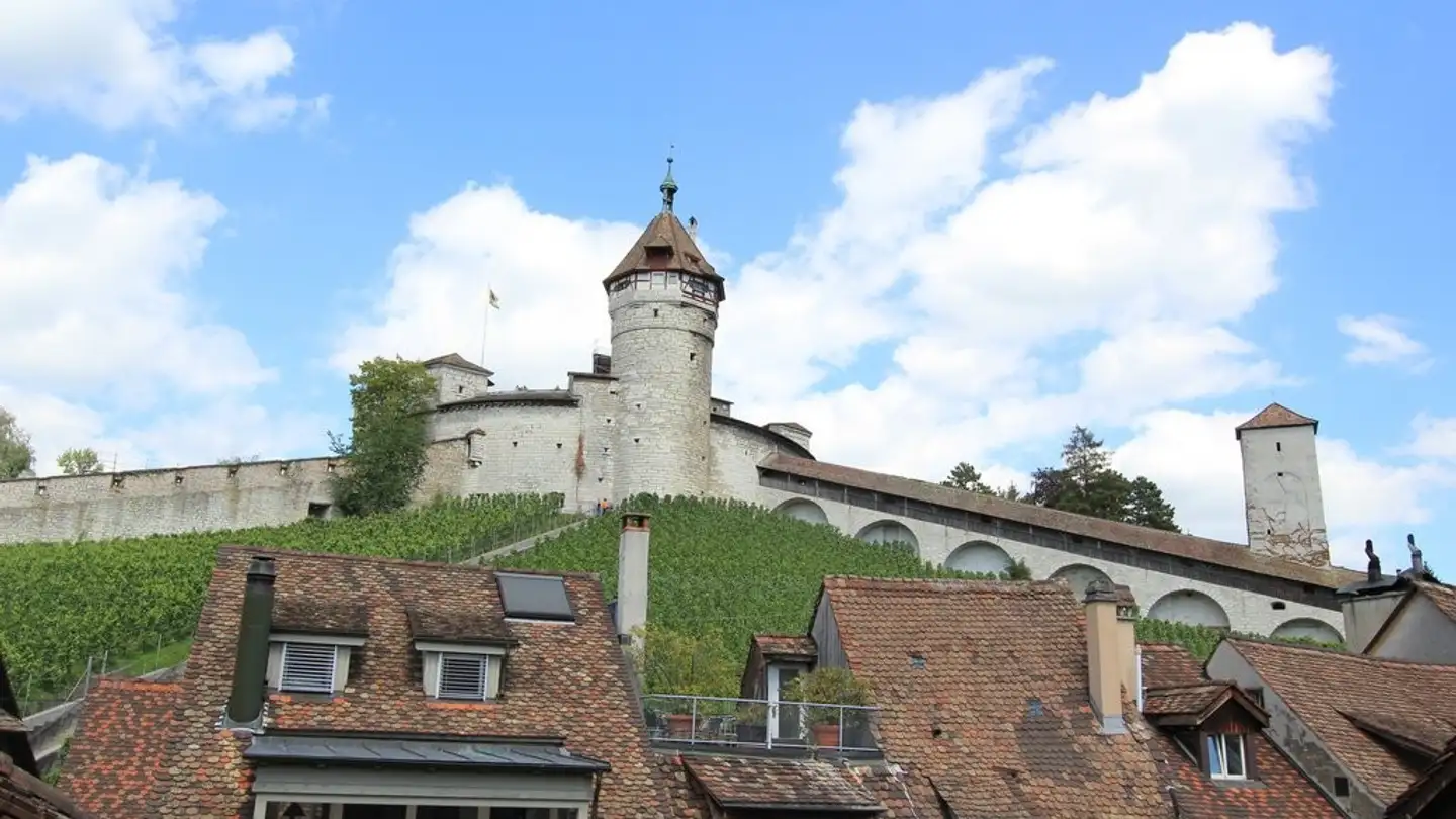 Duplex à louer - Fischergässchen 15, 8200 Schaffhausen