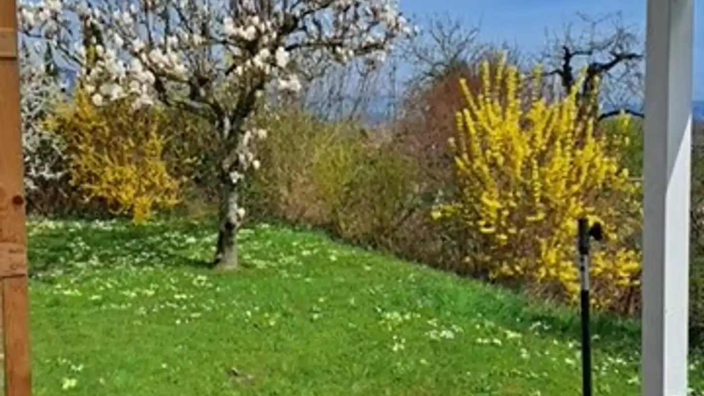 Maison individuelle à louer - Rebenweg 21, 3235 Erlach - Photo 4