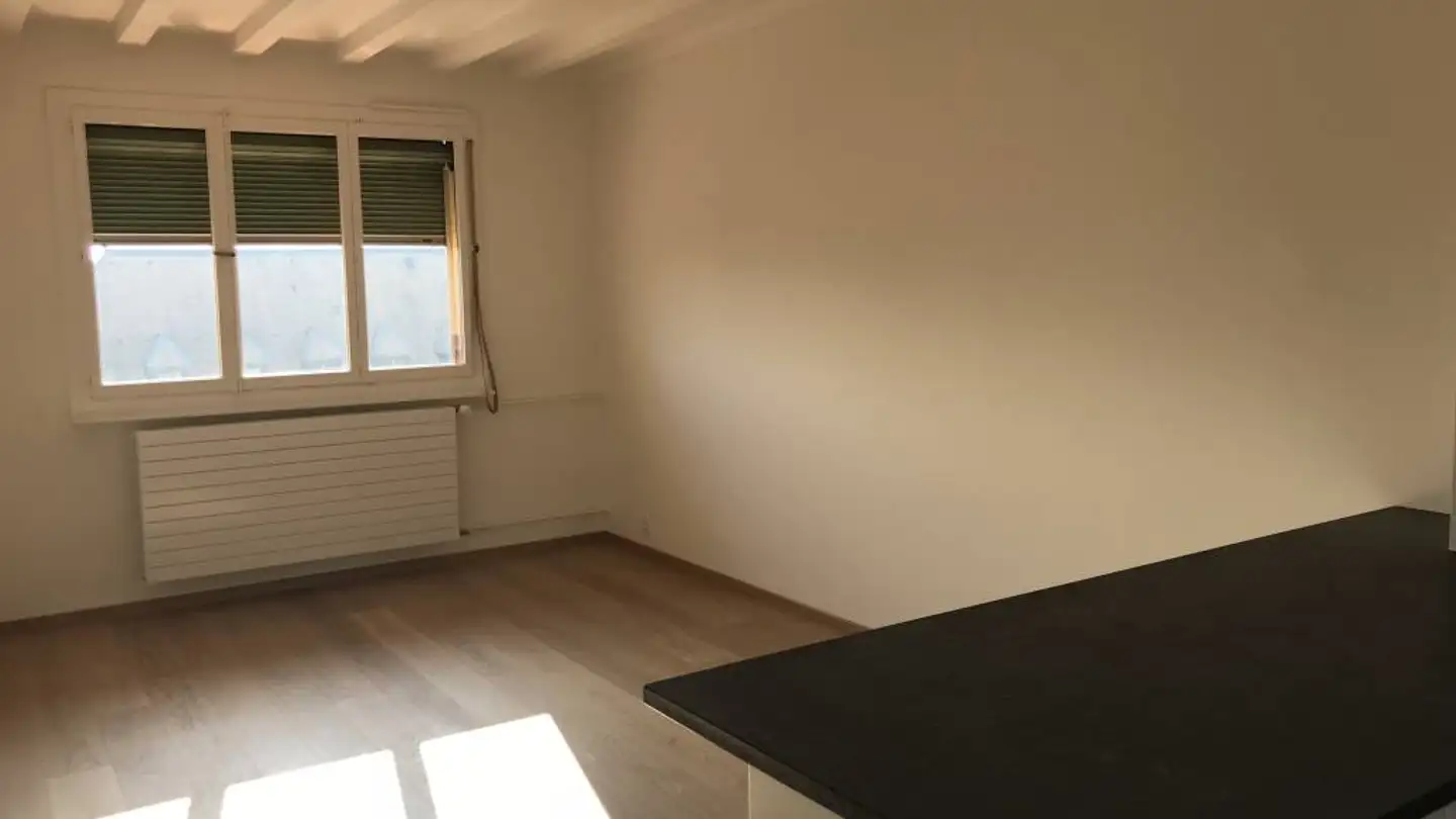 Apartment for rent - Rue De Saint-Jean 11, 1203 Genève - Photo 4