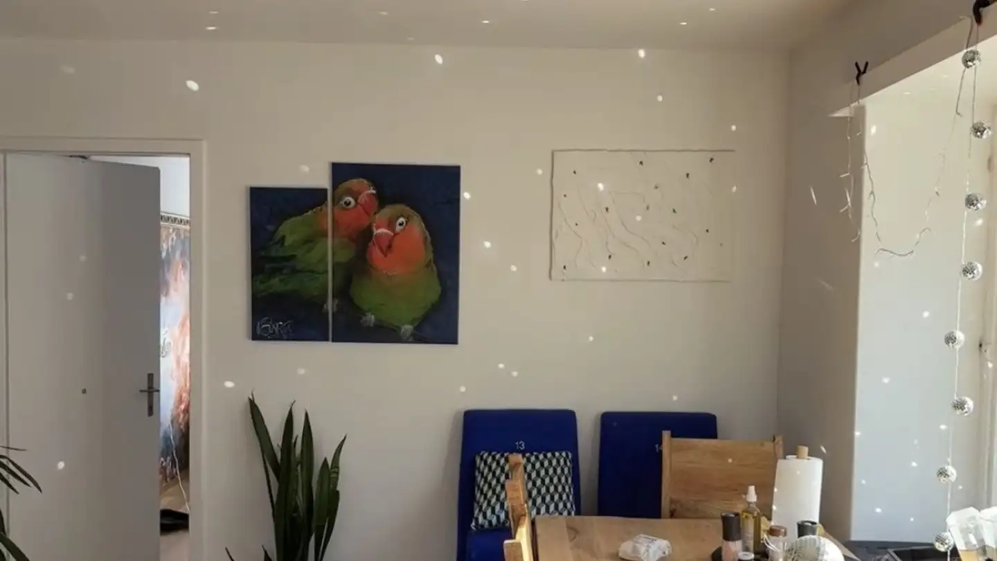 Wohnung mieten - 8048 Zürich