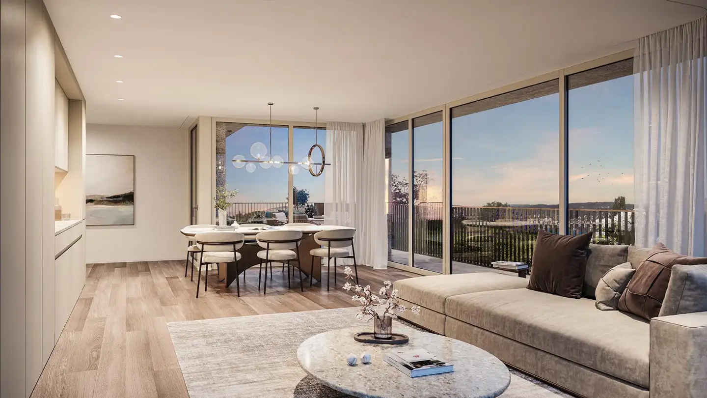 Attique à vendre - 8800 Thalwil