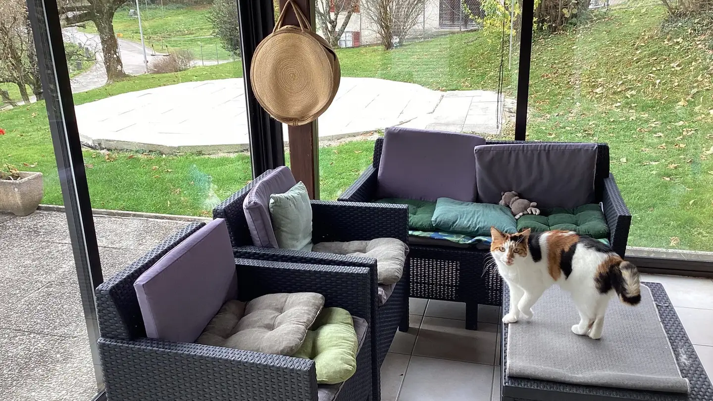 Casa singola in vendita - la Maltière 82D, 2904 Bressaucourt - Foto 4