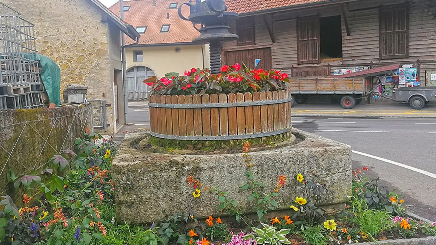 Villa kaufen - 1422 Grandson - Foto 2