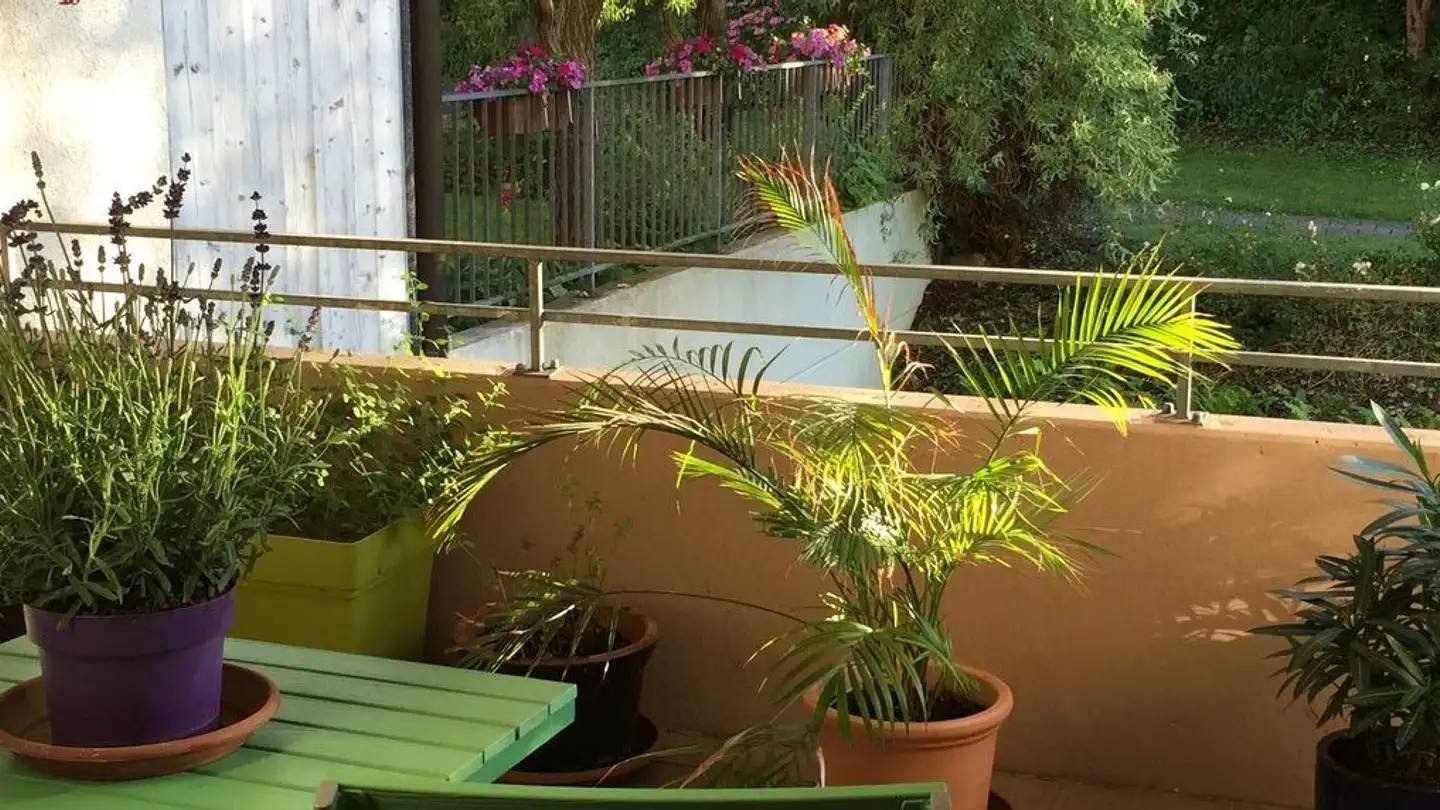 Appartement à louer - Zürichstrasse 106, 8123 Ebmatingen - Photo 3