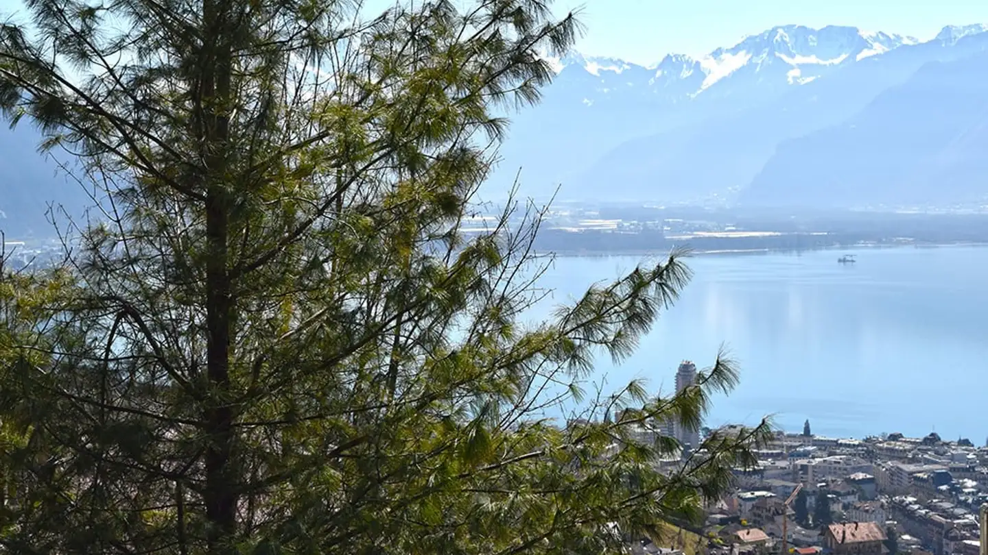 Villa for sale - 1820 Montreux