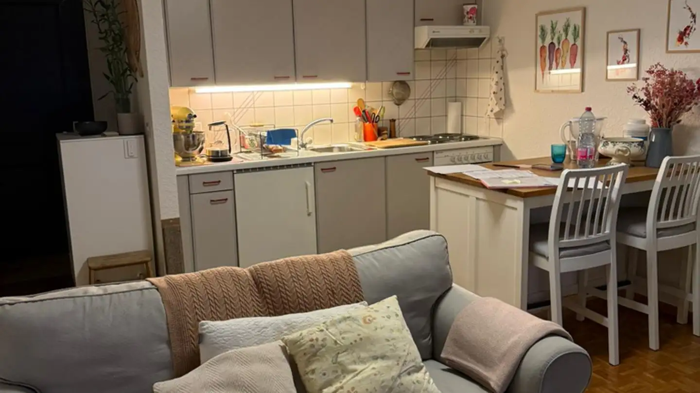 Wohnung mieten - Rue Du Lac, 1800 Vevey - Foto 2