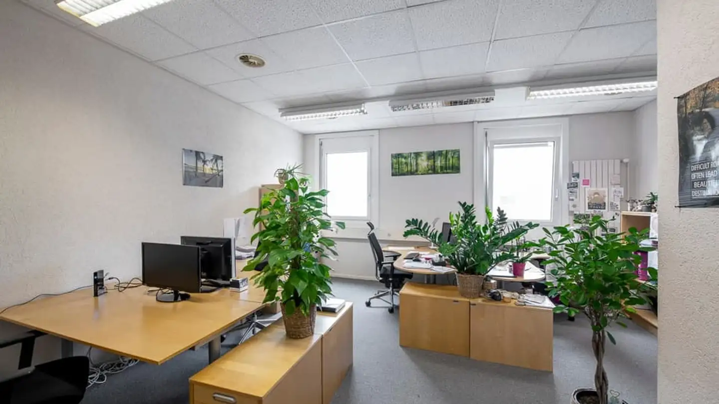 Commercial à louer - Chemin Des Aulx 16, 1228 Plan-les-Ouates