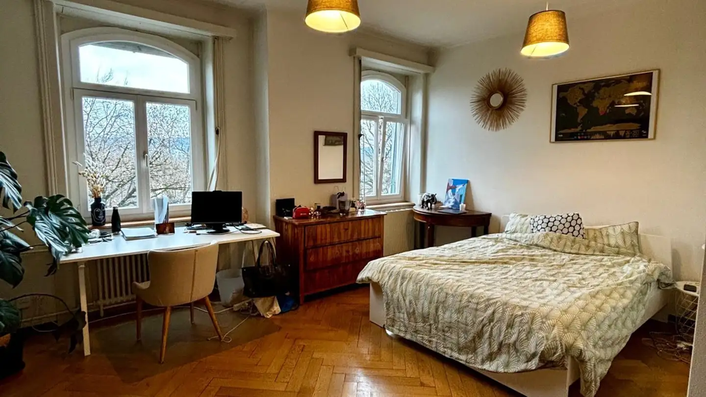 Chambre à louer - 8055 Zürich