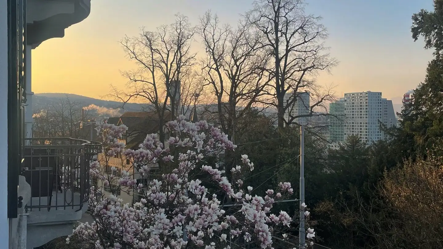 Appartamento in affitto - Hönggerstrasse, 8037 Zürich - Foto 3