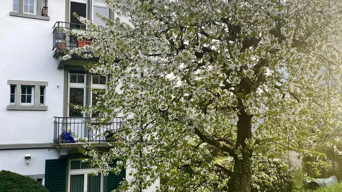 Appartamento in affitto - Hönggerstrasse, 8037 Zürich - Foto 4